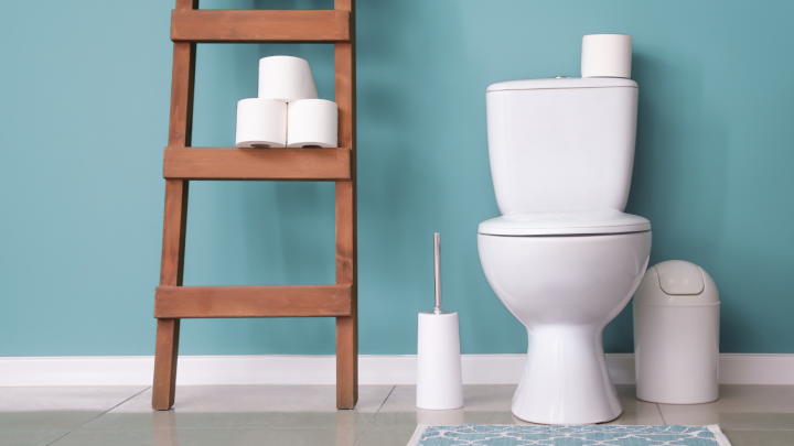 Is Your Toilet Bowl a Health Hazard? The Truth Will Shock You