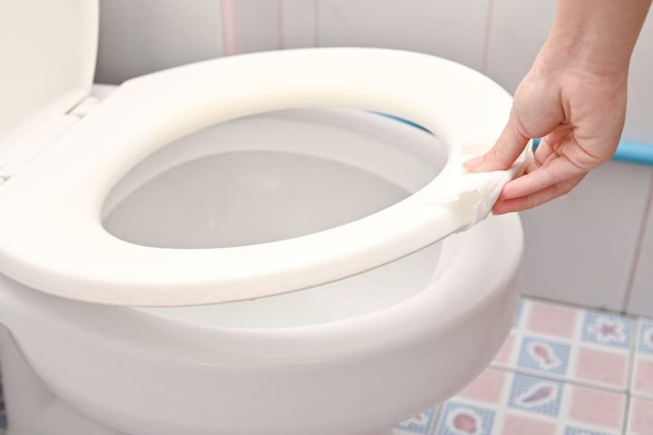 Diseases You Can Get from Toilet Seats | JonEvac